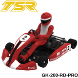 Team Saxo GK-200-PRO 1/8 RC Go Kart KIT ARTR Red