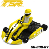 Team Saxo GK-200 1/8 RC Go Kart KIT ARTR Yellow (PRE-ORDER)