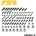 Team Saxo TS04014 F1-Future Screw Set