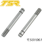 Team Saxo TS01061 Shock Piston Rod (2)