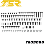 Team Saxo TS05086 Screw Set MGT-210/225