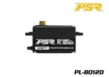 POWERSTAR PL-8012D DC Digital Low Profile Drift Servo in black with gold gear, designed for precise control in radio control drift car applications.