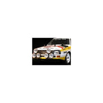 The Rally Legends Audi Quattro 1985 RTR 1/10 4wd Rally Car