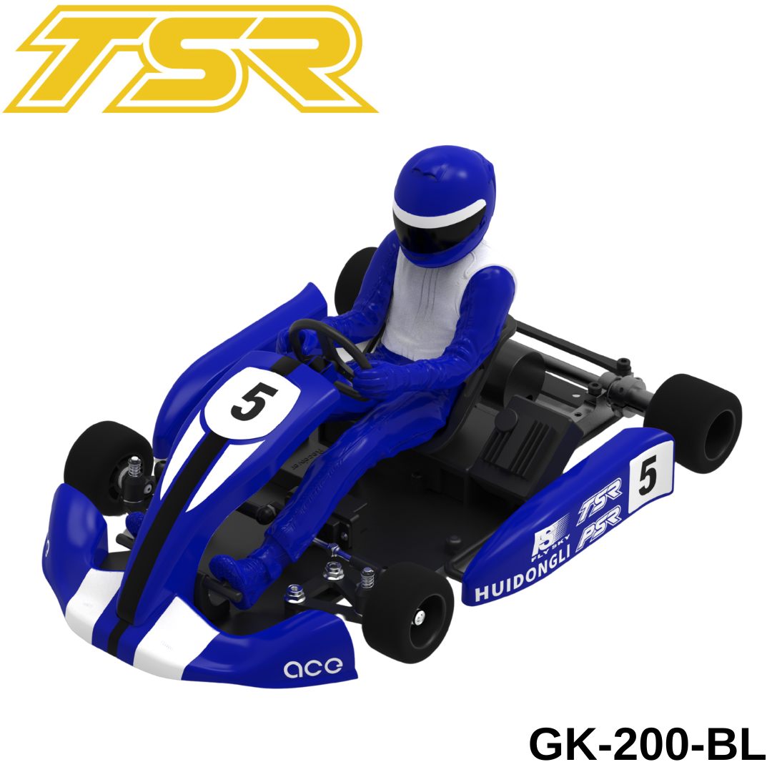 On-road RC Cars, Touring, Racing, Drift, F1 w Fast Free Shipping