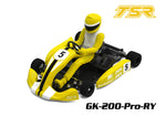 Team Saxo GK-200-PRO 1/8 RC Go Kart KIT ARTR Yellow (PRE-ORDER)
