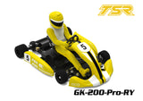 Team Saxo GK-200-PRO 1/8 RC Go Kart KIT ARTR Yellow (PRE-ORDER)
