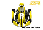 Team Saxo GK-200-PRO 1/8 RC Go Kart KIT ARTR Yellow (PRE-ORDER)